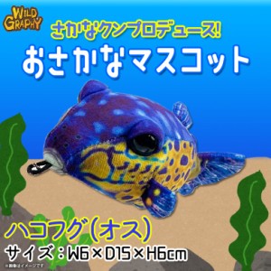 ぬいぐるみ 魚 ハコフグ オス ブルー さかなくんプロデュース SK013【1727】おさかなぬいぐるみ マスコット キーホルダー 海の生き物 リ