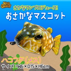 ぬいぐるみ 魚 ハコフグ メス イエロー さかなくんプロデュース SK014【1734】おさかなぬいぐるみ マスコット キーホルダー 海の生き物 