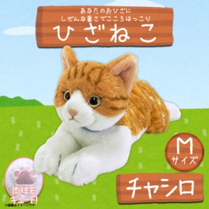 ぬいぐるみ ひざねこ 猫 茶白 チャシロ ねこ【P-7802】Mサイズ 柔らかな素材 手触り抜群 ゴールドアイ サンレモン