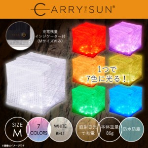 CARRY THE SUN キャリーザサン CTSR-M 7776 Rainbow Medium 折り畳み 7色 レインボー 赤 オレンジ 黄 緑 青 パープル 白 Landport