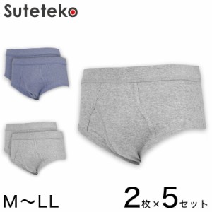 抗菌防臭加工 フライス天スパンブリーフ 2枚組×5セット M〜LL (綿100% メンズ 男性 紳士 下着 肌着 インナー オールシーズン ベーシック