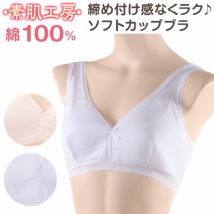 綿100% ブラジャー ノンワイヤー M〜3L (下着 ハーフトップ 綿 ノンワイヤーブラ レディース インナー 大きいサイズ コットン ブラ)