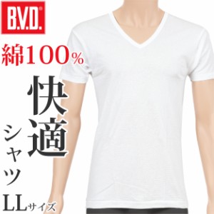 BVD インナー シャツ メンズ 半袖 綿100％ 白 Vネック 肌着 下着 着こなし ビジネス カジュアル スポーツ トレーニング LL (V首 男性 紳