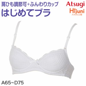 アツギ Hijuni ふんわりカップ超ソフトワイヤーブラ A65〜D75 (ATSUGI ハイジュニ ガールズ 女子 女の子 中学生 小学生 ブラジャー)