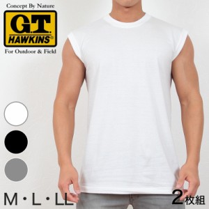 グンゼ サーフシャツ メンズ 綿100% 肌着 2枚組 M〜LL (G.T.HAWKINS GTホーキンス 男性 紳士 シャツ スリーブレス セット ノースリーブ 