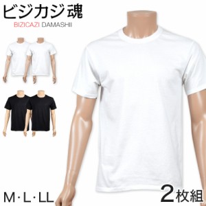 ヘインズ ビジカジ魂 クルーネックTシャツ 2枚組 M〜LL (Hanes BIZICAZI DAMASHII メンズ 綿100% 白 黒) (在庫限り)