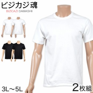 ヘインズ ビジカジ魂 tシャツ メンズ 半袖 綿100 大きいサイズ 2枚組 3L〜5L (下着 綿 Tシャツ インナー クルーネック hanes セット 無地