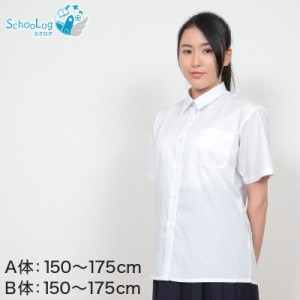 学生服 シャツ 女子 カッターシャツ 半袖 150cmA〜175cmB (スクールシャツ 中学生 小学生 高校生 学生 制服 150 160 170 175)