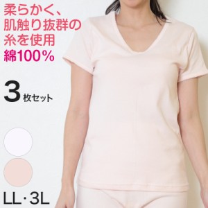 レディース 綿100% 半袖シャツ 大きいサイズ 3枚セット LL・3L (女性 婦人 インナー 下着 綿 コットン 吸汗速乾 スリーマー 白 ピンク U