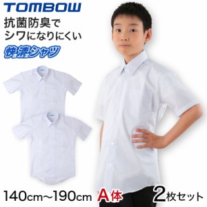 【2枚セット】スクールシャツ 半袖 男子 形態安定 トンボ 140cmA〜190cmA (学生服 カッターシャツ TOMBOW ワイシャツ Yシャツ) (取寄せ)