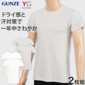 グンゼ YG Tシャツ メンズ クルーネックTシャツ tシャツ 2枚組 M〜LL (GUNZE 男性 紳士 下着 肌着 半袖 インナー 吸汗速乾 ムレ緩和 抗菌