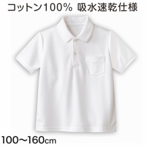 綿100％ 半袖ポロシャツ 100cm〜160cm ( 小学校 小学生 制服 学生服 学生 スクールシャツ 通学 男の子 女の子 )