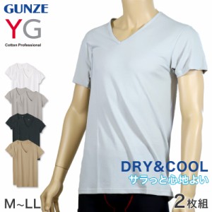 グンゼ YG DRY&COOL VネックTシャツ 2枚組 M〜LL (GUNZE DRY&COOL Tシャツ 男性 紳士 インナーシャツ インナーウェアー 夏 吸汗速乾 ムレ