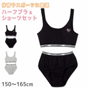 ジュニア ハーフトップ ショーツセット 子供 150〜165cm 下着 小学生 女の子 キッズ インナー 中学生 女子 ブラジャー 綿混 150 160 165 