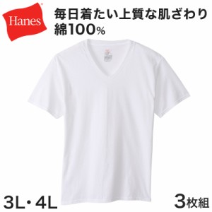 ヘインズ メンズ VネックTシャツ 3枚組 BIG 3L・4L (Hanes Global Value Line 綿100 インナー アンダーウェア 肌着 下着)