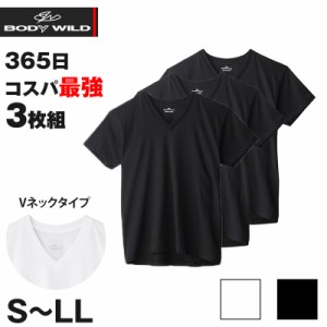 グンゼ メンズ tシャツ vネック 3枚組 綿100% 半袖 インナー S〜LL ボディワイルド BODYWILD インナーシャツ v首 無地 下着 肌着 紳士 男