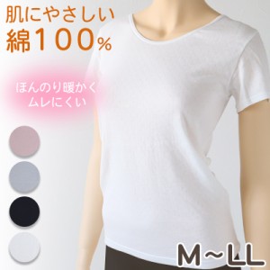 綿100% インナー レディース 肌着 半袖 M L LL (下着 綿 コットン ガーゼ 薄手 秋 冬 シャツ 黒 オフホ グレー ピンク) (在庫限り)