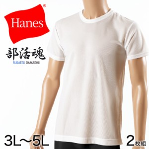 ヘインズ メンズ 半袖 Tシャツ 2枚組 3L〜5L (インナーシャツ 大きいサイズ 3l 4l 5l 下着 白 無地 肌着 インナー シャツ メッシュ クル