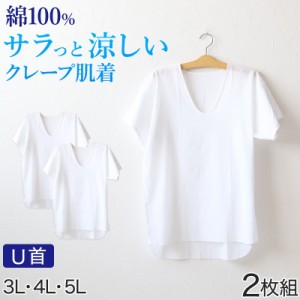 クレープ肌着 メンズ 半袖 tシャツ 綿100% 2枚組 3L〜5L 大寸 大きいサイズ ビッグサイズ 下着 インナー 夏 涼しい 吸汗速乾 男性 紳士 