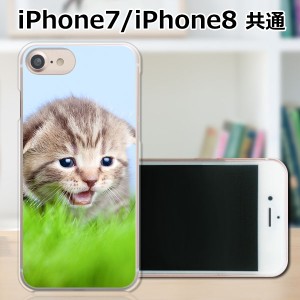 apple iPhone7 TPUケース/カバー 【見つけたニャン TPUソフトカバー】 iphone7 スマートフォンカバー・ジャケット