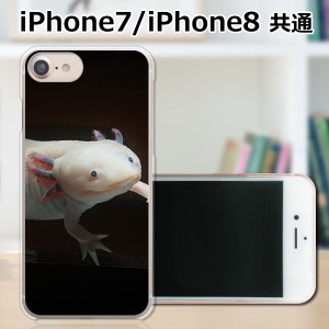 APPLE iPhone8 TPUケース/カバー 【ウーパールーパー TPUソフトカバー】 スマートフォンカバー・ジャケット