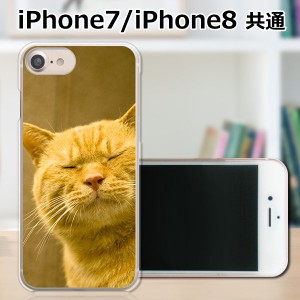 apple iPhone7 ハードケース/カバー 【吾輩は猫である名前はまだニャい PCクリアハードカバー】 iphone7 スマートフォンカバー・