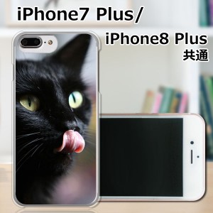 APPLE iPhone8 Plus TPUケース/カバー 【Cat！ TPUソフトカバー】 スマートフォンカバー・ジャケット