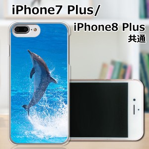 APPLE iPhone7 Plus TPUケース/カバー 【ドルフィン TPUソフトカバー】 スマートフォンカバー・ジャケット