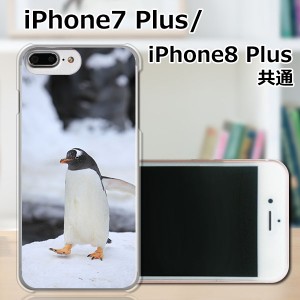 APPLE iPhone8 Plus TPUケース/カバー 【ペンギン TPUソフトカバー】 スマートフォンカバー・ジャケット