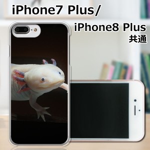 APPLE iPhone7 Plus TPUケース/カバー 【ウーパールーパー TPUソフトカバー】 スマートフォンカバー・ジャケット