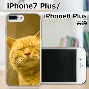 APPLE iPhone7 Plus ハードケース/カバー 【吾輩は猫である名前はまだニャい PCクリアハードカバー】 APPLE iPhone7 Plus スマートフォン
