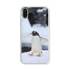 apple iPhoneX ハードケース/カバー 【ペンギン PCクリアハードカバー】 スマートフォンカバー・ジャケット