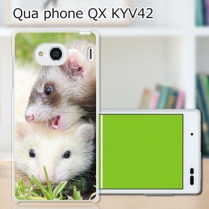 au Qua Phone QX KYV42 ハードケース/カバー 【フェレット PCクリアハードカバー】 スマホケース スマホカバー スマートフォンケース