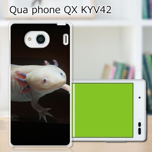 au Qua Phone QX KYV42 ハードケース/カバー 【ウーパールーパー PCクリアハードカバー】 スマートフォンカバー・ジャケット