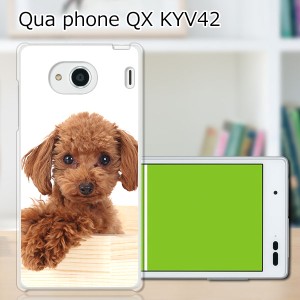 au Qua Phone QX KYV42 ハードケース/カバー 【プードル PCクリアハードカバー】 スマホケース スマホカバー スマートフォンケース