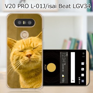 isai Beat LGV34 / V20 PRO L-01J 共通 ハードケース/カバー 【吾輩は猫である名前はまだニャい PCクリアハードカバー】  スマートフォン