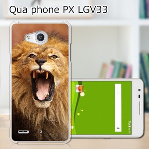 Qua Phone PX LGV33 ハードケース/カバー 【らいおん！ PCクリアハードカバー】  スマートフォンカバー・ジャケット