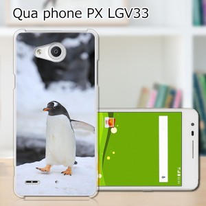 Qua Phone PX LGV33 ハードケース/カバー 【ペンギン PCクリアハードカバー】  スマートフォンカバー・ジャケット