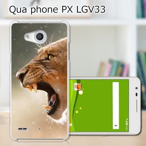 Qua Phone PX LGV33 ハードケース/カバー 【LION PCクリアハードカバー】  スマートフォンカバー・ジャケット