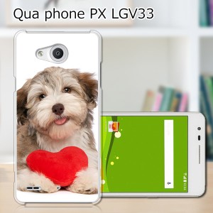 Qua Phone PX LGV33 ハードケース/カバー 【ハートとわんこ PCクリアハードカバー】  スマートフォンカバー・ジャケット