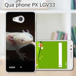 Qua Phone PX LGV33 ハードケース/カバー 【ウーパールーパー PCクリアハードカバー】  スマートフォンカバー・ジャケット