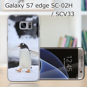 GALAXY S7 edge SC-02H ハードケース/カバー 【ペンギン PCクリアハードカバー】 SCV33 共用 スマートフォンカバー・ジャケット