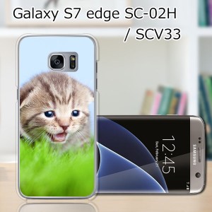 GALAXY S7 edge SC-02H ハードケース/カバー 【見つけたニャン PCクリアハードカバー】 SCV33 共用 スマートフォンカバー・ジャケット