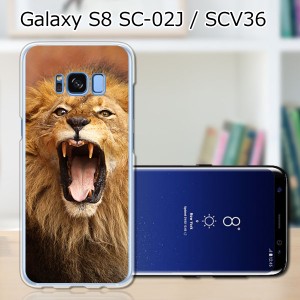 Galaxy S8 SCV36 SC-02J共用 ハードケース/カバー 【らいおん！ PCクリアハードカバー】 スマートフォンカバー・ジャケット