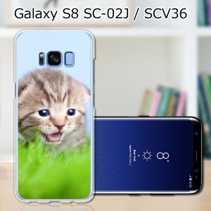 Galaxy S8 SCV36 SC-02J共用 ハードケース/カバー 【見つけたニャン PCクリアハードカバー】 スマートフォンカバー・ジャケット