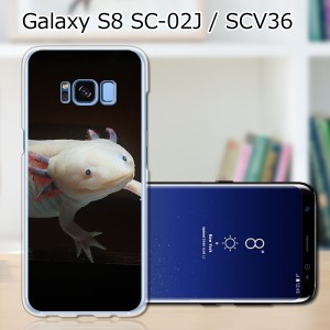 Galaxy S8 SCV36 SC-02J共用 ハードケース/カバー 【ウーパールーパー PCクリアハードカバー】 スマートフォンカバー・ジャケット