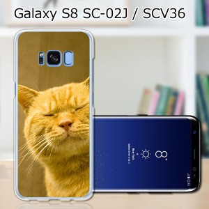 Galaxy S8 SCV36 SC-02J共用 ハードケース/カバー 【吾輩は猫である名前はまだニャい PCクリアハードカバー】スマートフォンカバー・