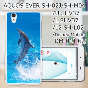 AQUOS U SHV37/EVER SH-02J ハードケース/カバー 【ドルフィン PCクリアハードカバー】 スマートフォンカバー・ジャケット