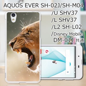 AQUOS U SHV37/EVER SH-02J ハードケース/カバー 【LION PCクリアハードカバー】 スマートフォンカバー・ジャケット