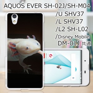 AQUOS U SHV37/EVER SH-02J ハードケース/カバー 【ウーパールーパー PCクリアハードカバー】 スマートフォンカバー・ジャケット